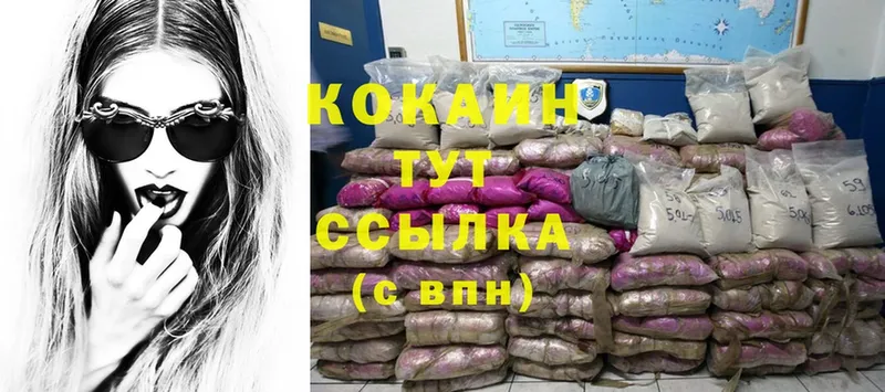 Cocaine 98%  mega как войти  Камышин 